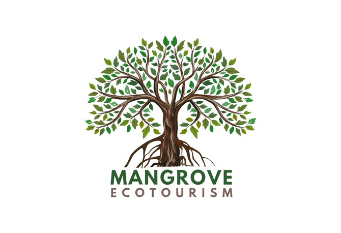 Mangrove Ecotourism